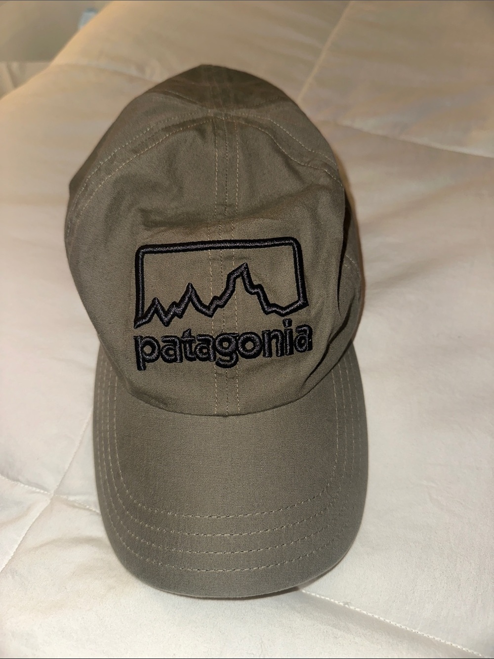 Patagonia Men's Olive Logo Baseball Cap